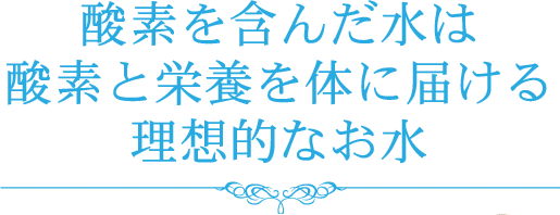海人ぬ宝について 珊瑚の泉