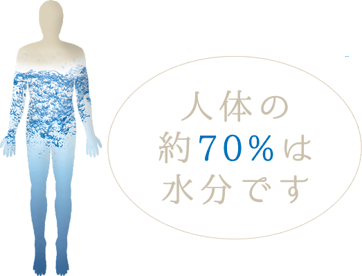 海人ぬ宝について 珊瑚の泉