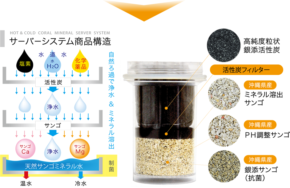 海人ぬ宝について 珊瑚の泉